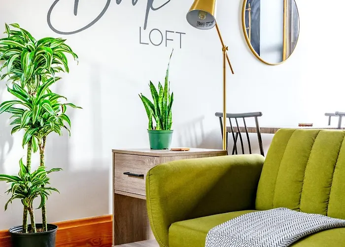 Jungle House Luxury Lofts - Short North High Street Columbus